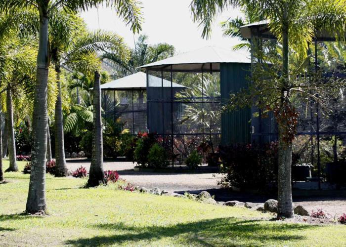 Daintree Wild Bed & Breakfast Exterior foto
