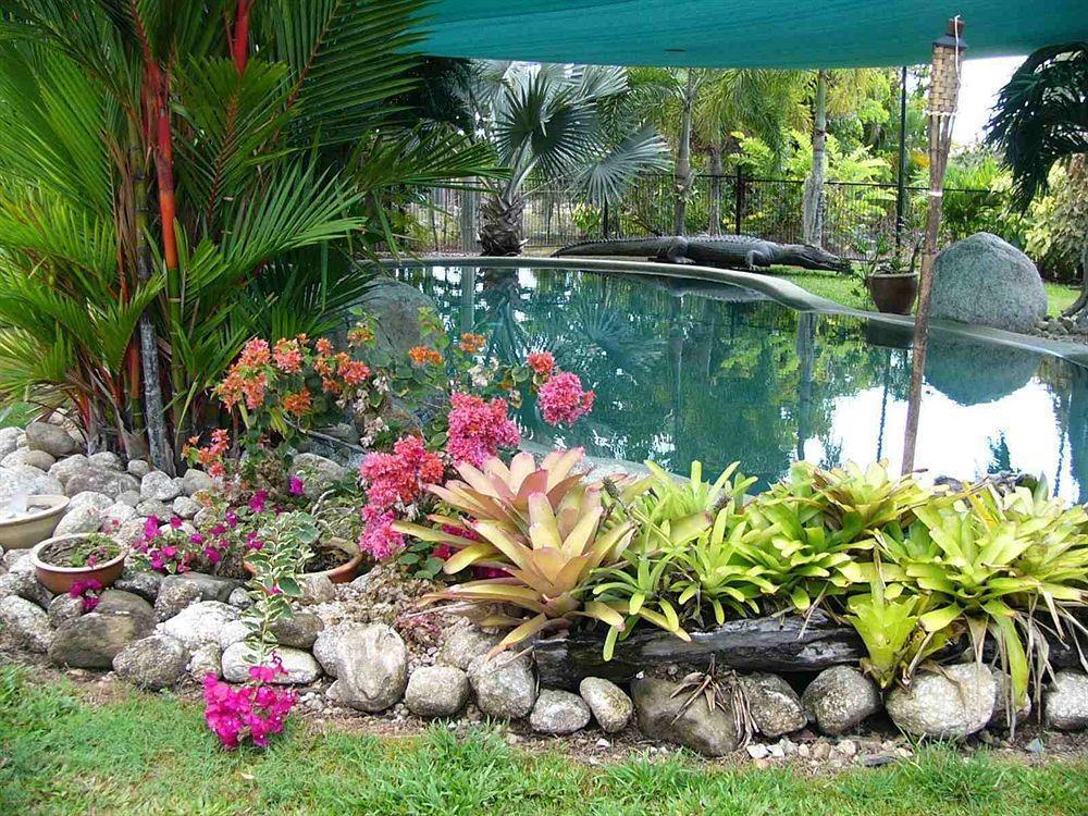 Daintree Wild Bed & Breakfast Exterior foto