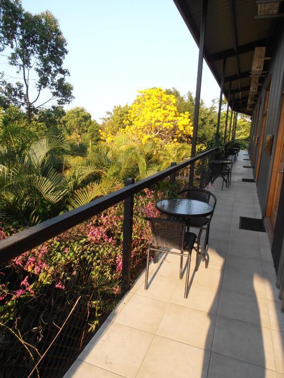Daintree Wild Bed & Breakfast Habitación foto