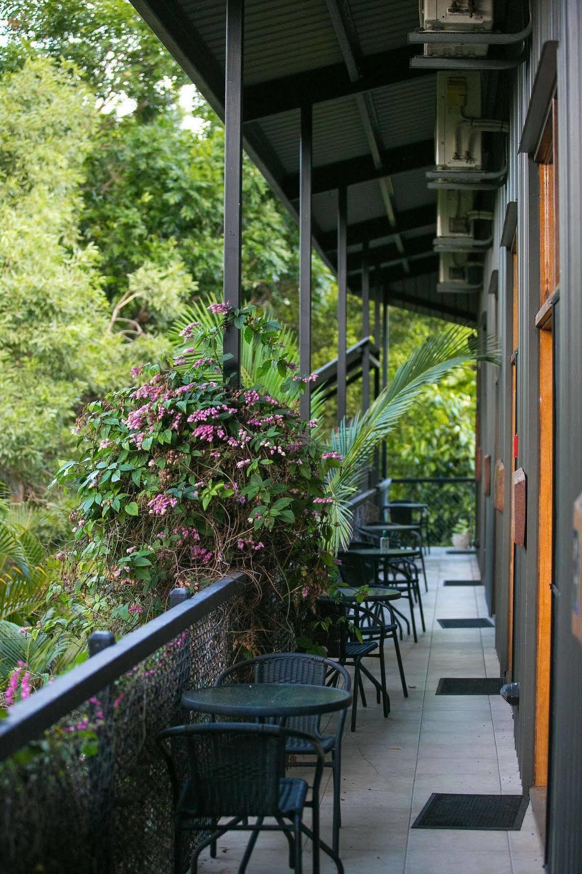 Daintree Wild Bed & Breakfast Exterior foto