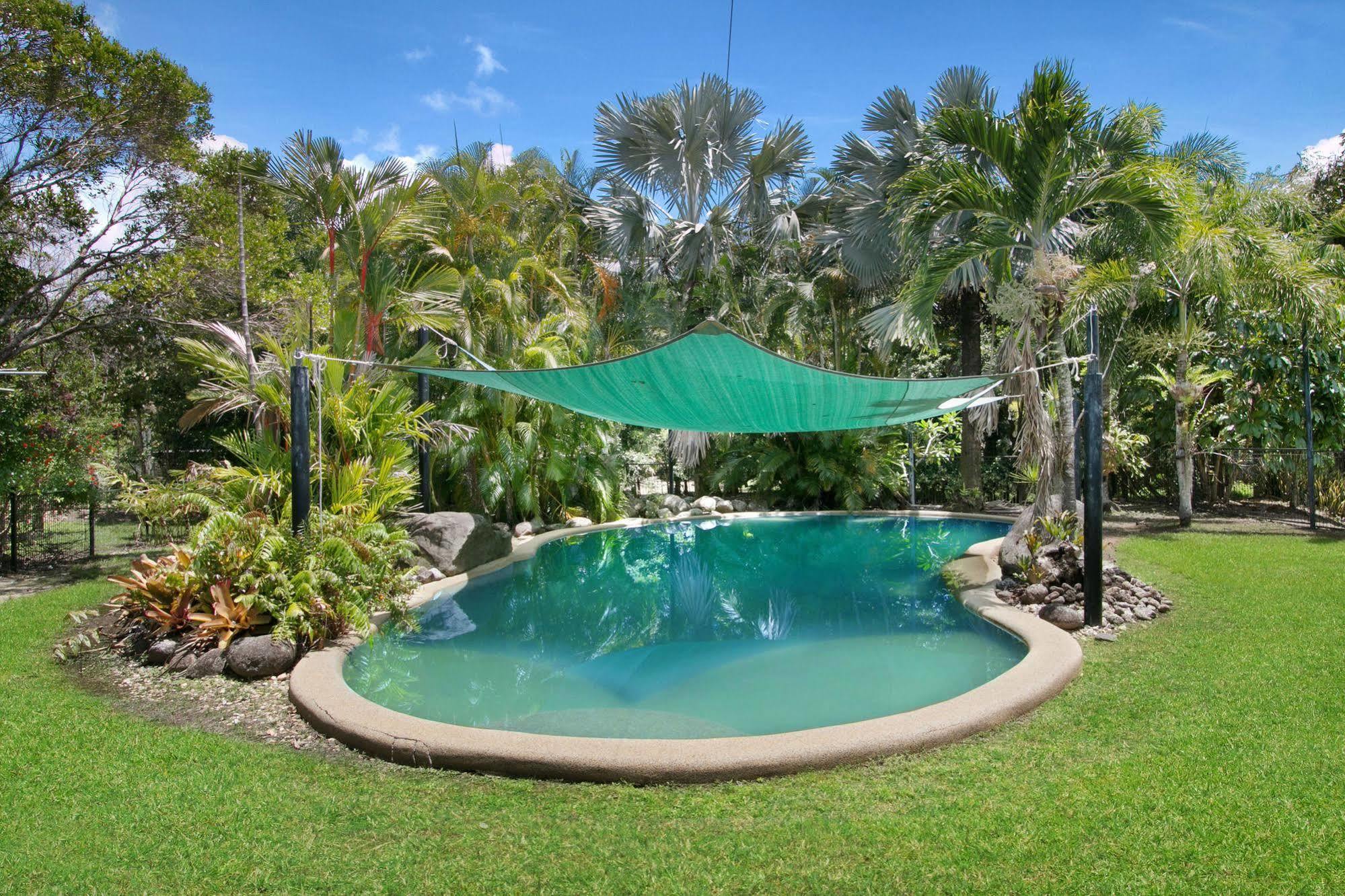 Daintree Wild Bed & Breakfast Exterior foto